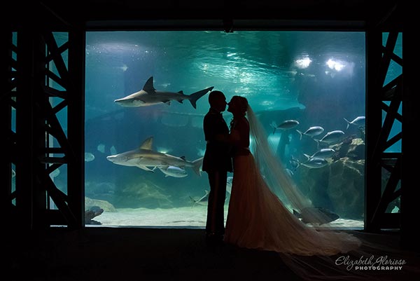Silhouette of bride and groom at the Cleveland Aquarium